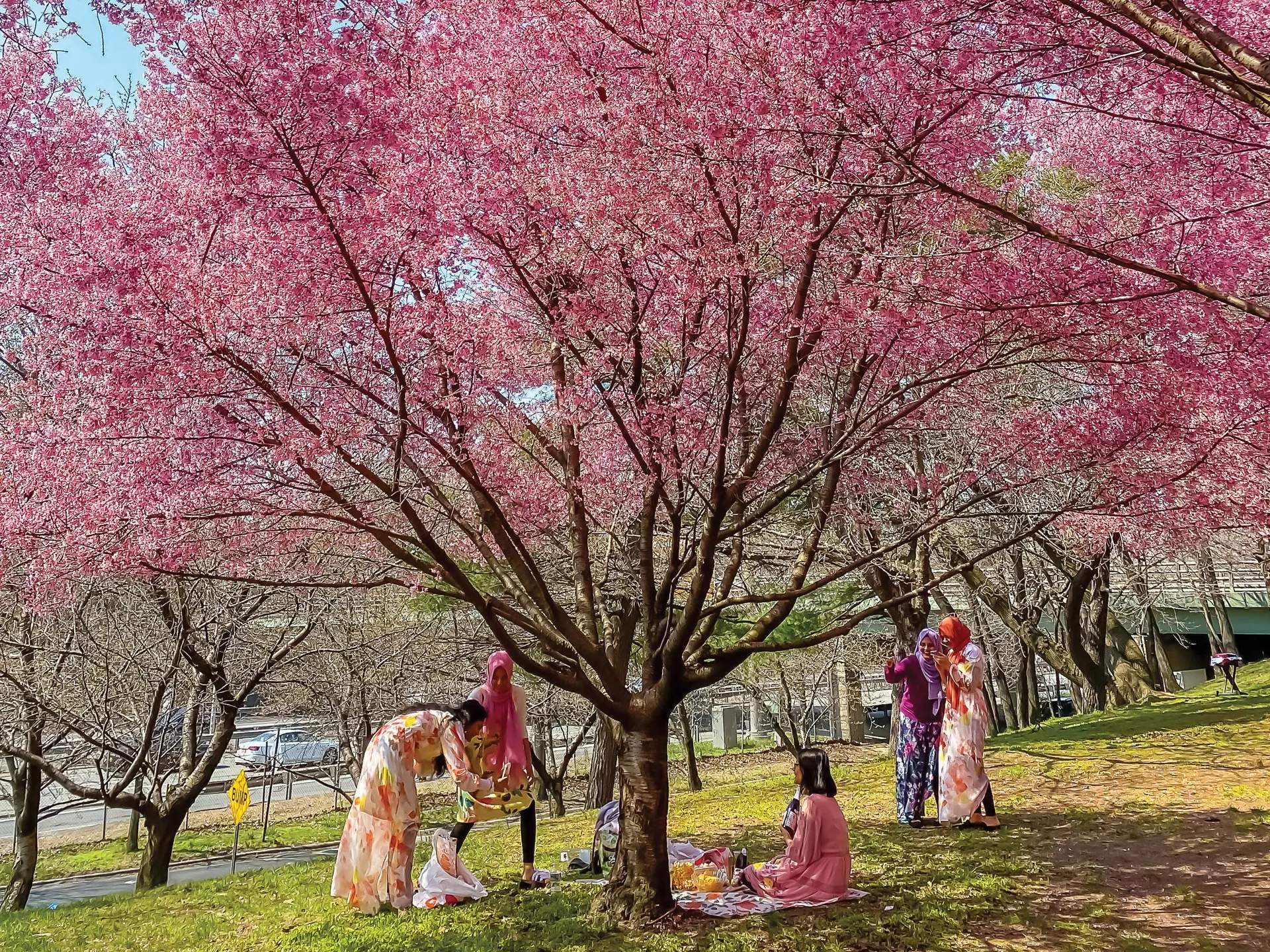 🏞️ 정토송 공원(조도마츠 코엔) 이미지 6